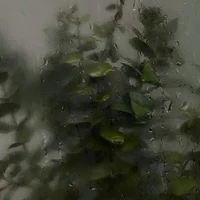 Dropping Rain