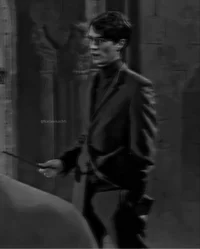 HP - Tom Riddle