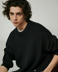 Timothée Chalamet 