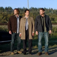 Winchesters and Cas