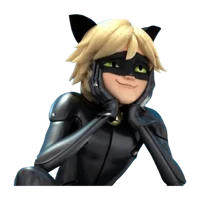 Cat Noir 