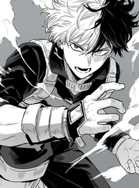02 - shoto todoroki