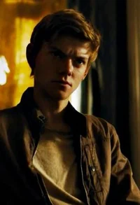 Newt