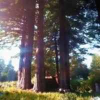 -headless macrocosm-