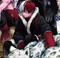 shoto todoroki
