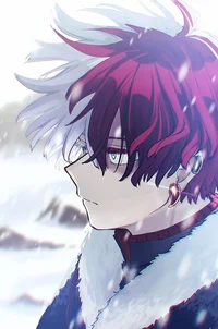 Shoto Todoroki