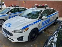 99 NYPDs Police   