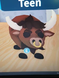 Rodeo bull