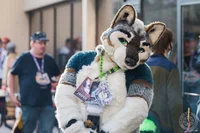 Jasper wolf Fursuit 