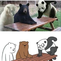We bare bears