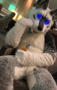 Tommy wolf Fursuit 