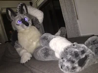 Tommy wolf fursuit