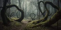 Hoia Baciu forest