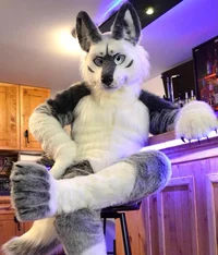 Tommy wolf fursuit