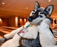 Jasper wolf Fursuit 