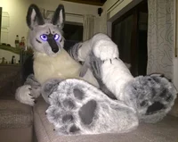 Tommy wolf fursuit