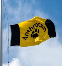 Anthrocon RP