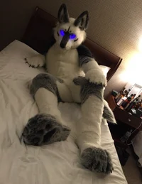 Tommy wolf Fursuit 