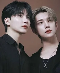 Jeonghan and joshua