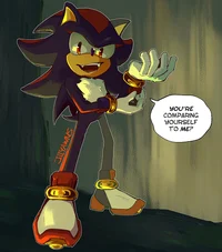 Sonic RP -VS Shadow-