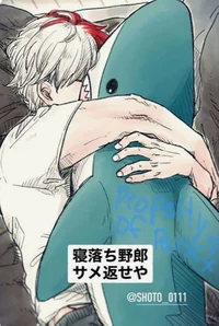 Shoto mental rehab
