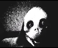 Non human entity 