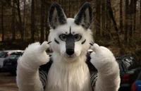 Tommy wolf fursuit
