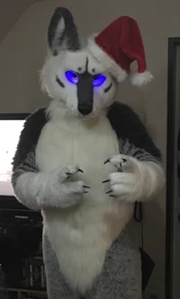 Tommy wolf fursuit