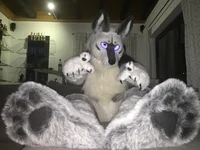 Tommy wolf fursuit
