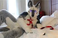 Tommy wolf fursuit