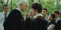Harry and Draco