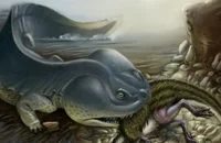 Koolasuchus