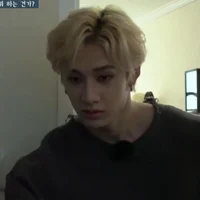 Bang Chan 