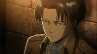 Levi Ackerman