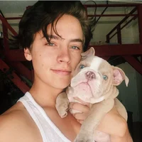 cole sprouse