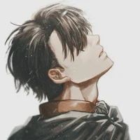 Captain Levi