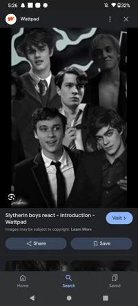 The Slytherin boys 