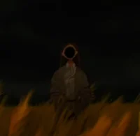 Narami 