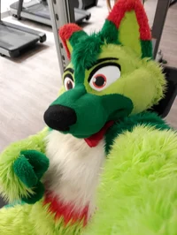 Dew shep Fursuit 