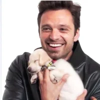 Sebastian stan