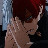 Shoto Todoroki