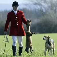 Foxhunter