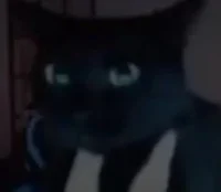 Kitty