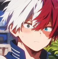 Shoto Todoroki 
