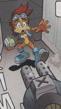 Sally Acorn