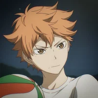 Hinata Shoyo Husband