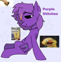 PURPLE SITCHES- DSAF