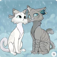 Jayfeather