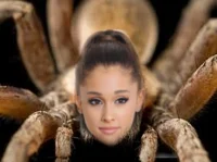 Arana Grande