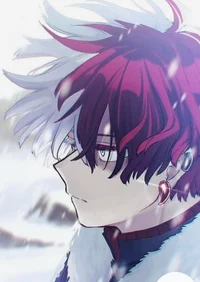 Shoto Todoroki